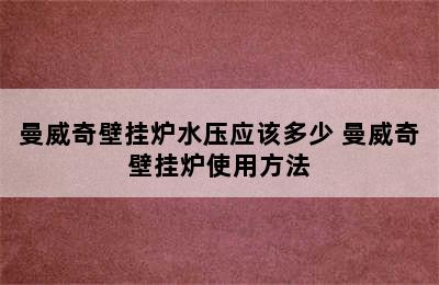 曼威奇壁挂炉水压应该多少 曼威奇壁挂炉使用方法